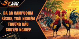 Đá Gà Campuchia