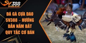 Đá Gà Cựa Dao