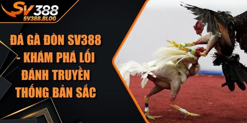 Đá Gà ĐònĐá Gà Đòn