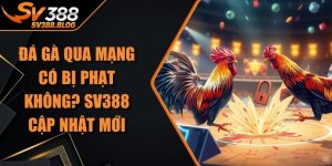 Đá Gà Qua Mạng Có Bị Phạt Không