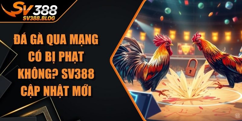 Đá Gà Qua Mạng Có Bị Phạt Không