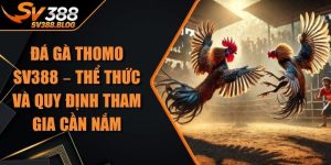 Đá Gà Thomo