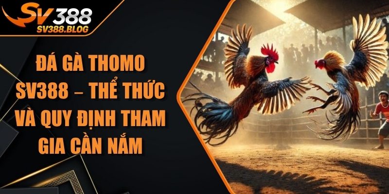 Đá Gà Thomo