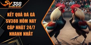 Kết Quả Đá Gà
