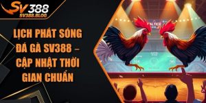 Lịch Phát Sóng Đá Gà