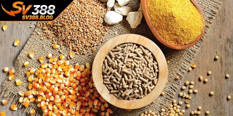 Thực đơn hợp lý giúp gà giữ được sức khỏe và độ bền