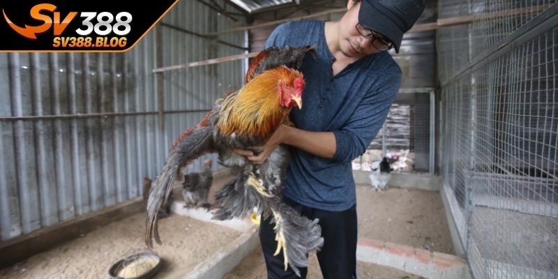 Nguyên tắc xây dựng môi trường nuôi an toàn