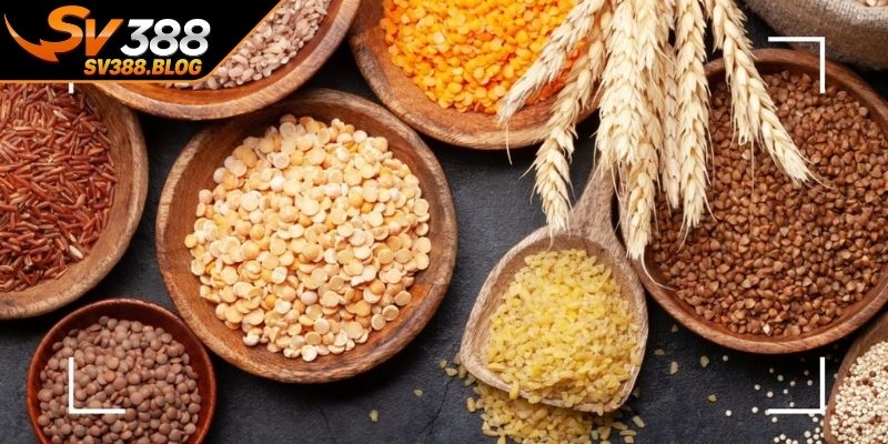Chế độ dinh dưỡng giúp gà phát triển toàn diện