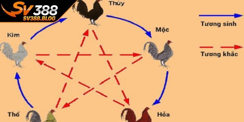 Cách xem màu mạng chiến kê theo ngày và địa chi
