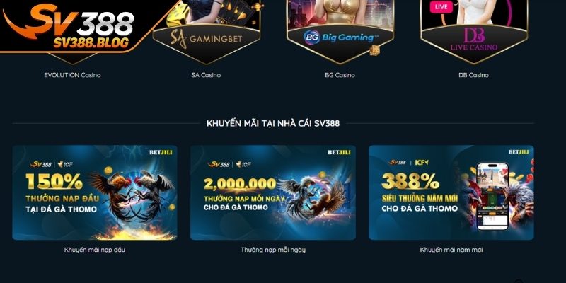 Chuyên mục thường bao gồm các nội dung quan trọng
