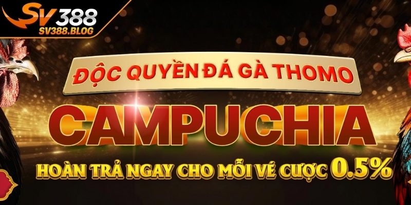 Lưu ý khi tham gia khuyến mãi