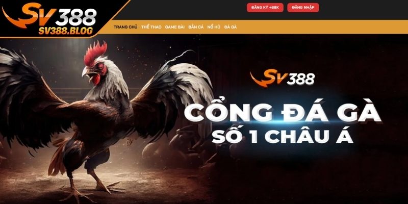Về chúng tôi SV388 qua tầm nhìn phát triển